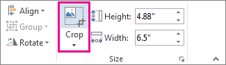 Crop command on the Picture Tools Format tab