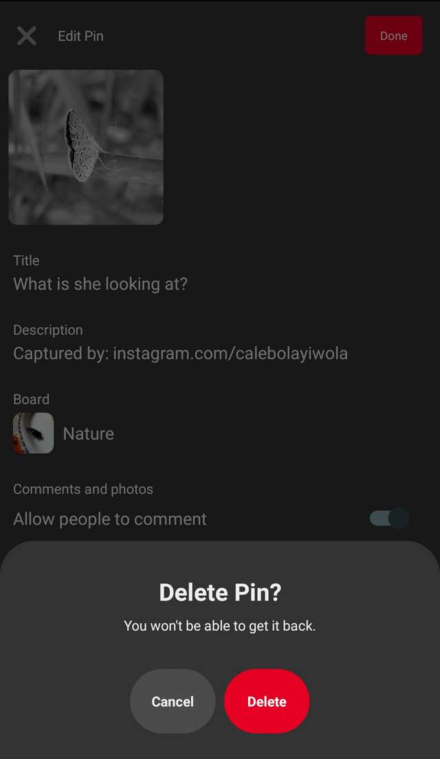 Delete Pin