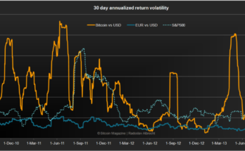 Bitcoin volatility: Should it stop you from investing in it?