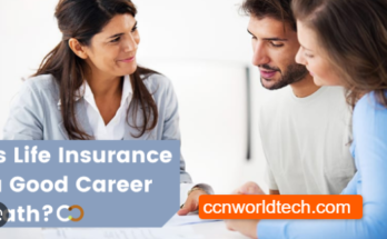 Is Insurance a Good Career Path | Best Paying Insurance Jobs in 2023